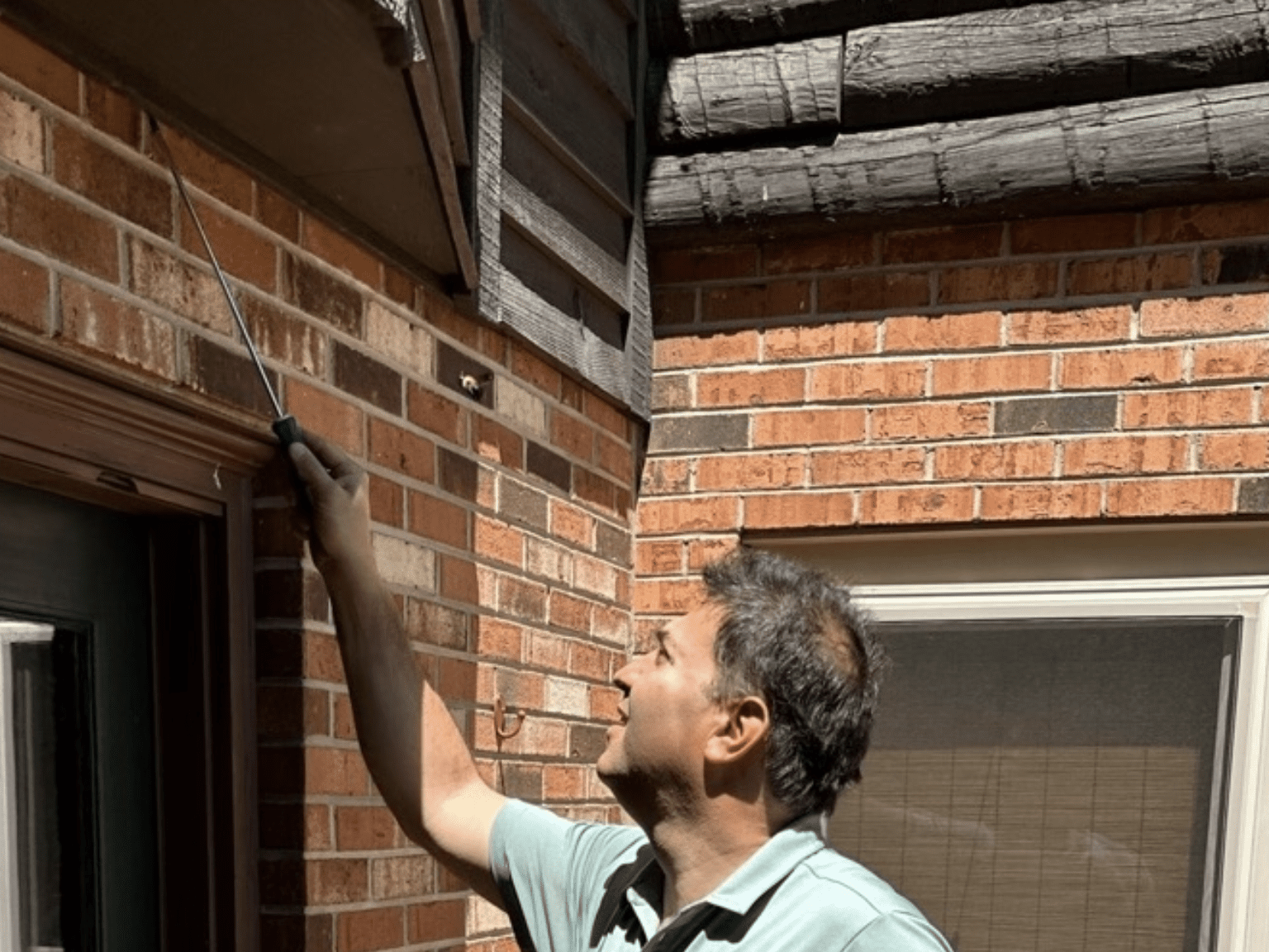 New Project (79)